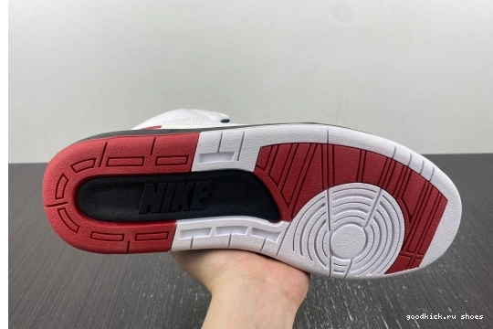  DX2454-106 2   Jordan Retro OG DX2454-106 Chicago 0427